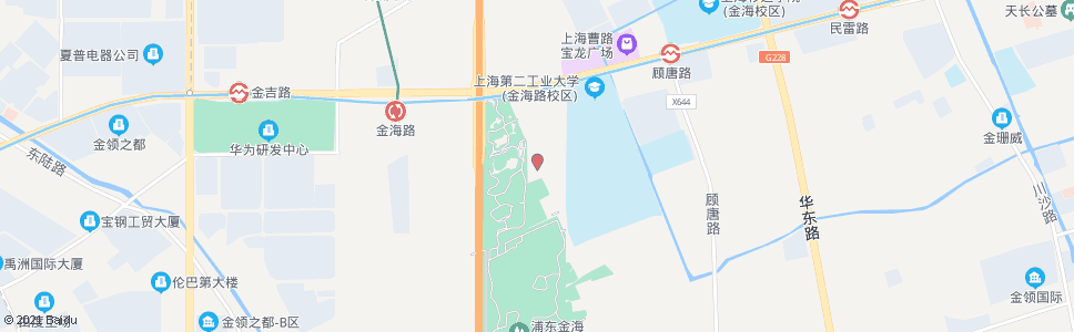 上海共新村_公交站地图_上海公交_妙搜公交查询2024