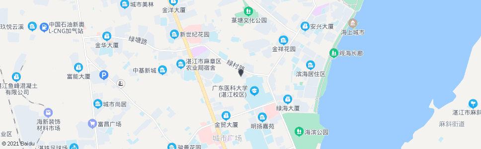 湛江新园路南_公交站地图_湛江公交_妙搜公交查询2024